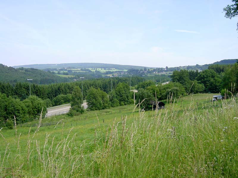 Ardennenrit-200316