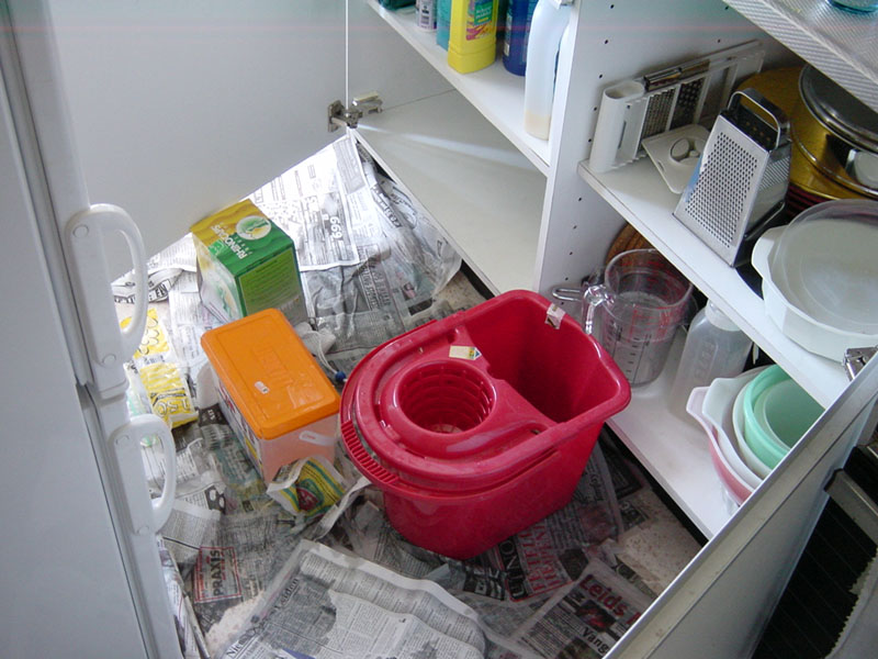 keulen-hemelvaart-2004-004