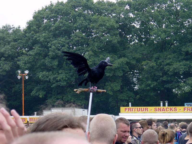 Graspop-4-5-juli-200331