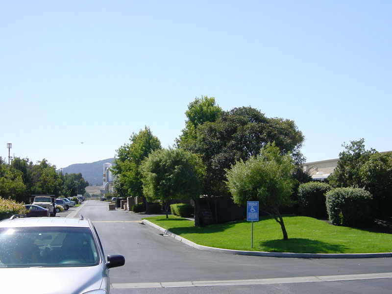 USA-CAN-2006-Ernie-Ball-2006-230