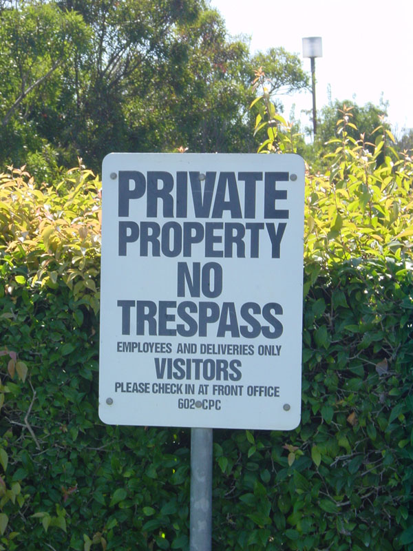 USA-CAN-2006-Ernie-Ball-2006-231